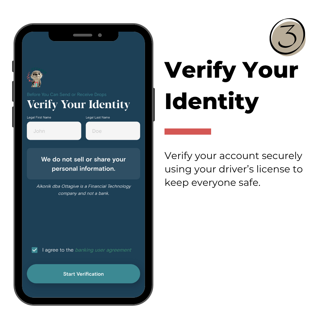 Identity verification screen